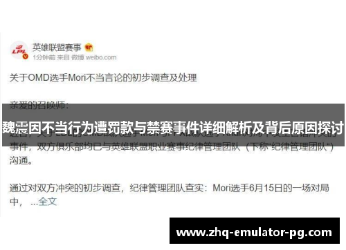 魏震因不当行为遭罚款与禁赛事件详细解析及背后原因探讨