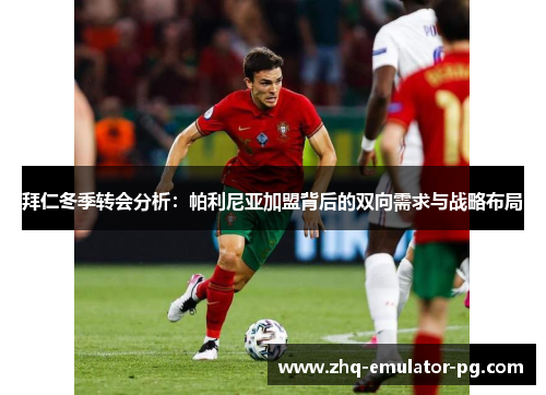 拜仁冬季转会分析:帕利尼亚加盟背后的双向需求与战略布局 拜仁冬季转会分析:帕利尼亚加盟背后的双向需求与战略布局