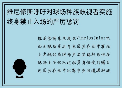 维尼修斯呼吁对球场种族歧视者实施终身禁止入场的严厉惩罚 维尼修斯呼吁对球场种族歧视者实施终身禁止入场的严厉惩罚