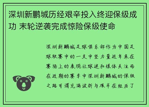 深圳新鹏城历经艰辛投入终迎保级成功 末轮逆袭完成惊险保级使命 深圳新鹏城历经艰辛投入终迎保级成功 末轮逆袭完成惊险保级使命